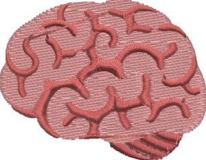 Brain-noto-simulation-1.jpg