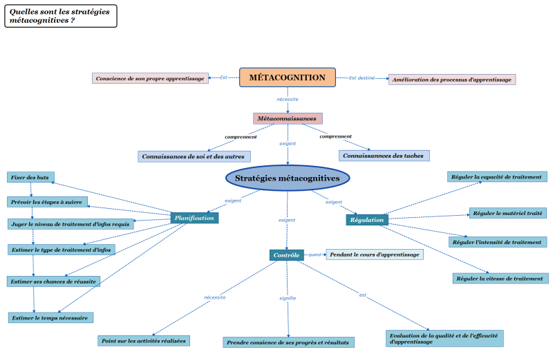 File:Metacognition V3.png