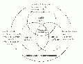 Thumbnail for version as of 17:50, 9 April 2021