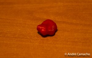 Camacab0 screenshot5.jpg