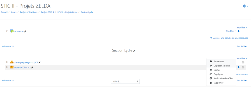 File:Capture moodle sticex13.png