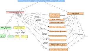 Carte conceptuelle 2.jpg