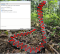 Thumbnail for version as of 23:27, 19 May 2026