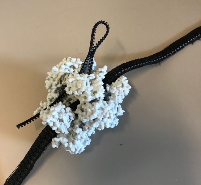File:Cas9-5F9R-crispr-model 3D.jpg