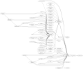 Thumbnail for version as of 19:31, 6 April 2021