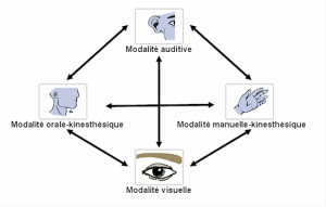 Appr Multisensoriel.png