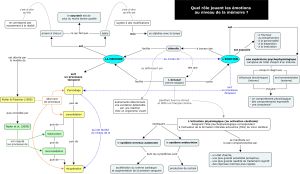 Bases memoire emotion2.jpg