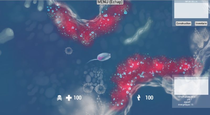 File:Biobrique.jpg