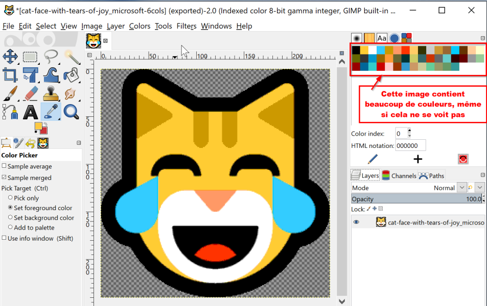 L'image contient pas mal de couleurs que l'on ne voit pas à l'œil nu (car il s'agit de petits pixels).