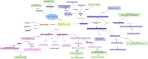Carte conceptuelle V2.jpeg