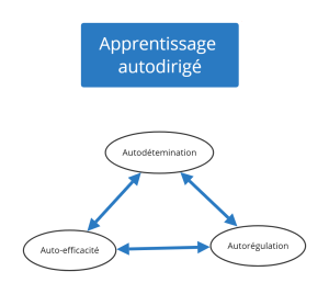 Apprentissage autodirigé.png