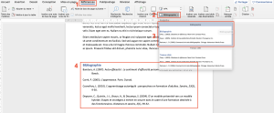 Capture d’écran Word Tutoriel Bibliographie 2.png