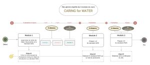 C4W Plan général simplifié des 3 modules du cours.jpg