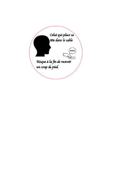 File:Aya conseil.png