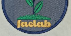 Lettrage sur un patch avec du gros fil