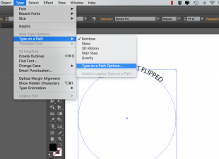 Type on a path options