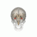 Thumbnail for version as of 18:01, 9 April 2021